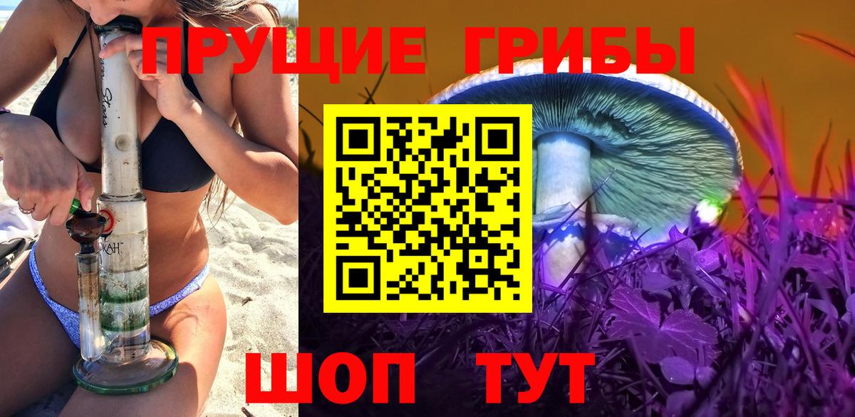 Нововоронеж  Псилоцибиновые грибы мицелий  Вход с VPN  Галлюциногенные грибы прущие грибы 