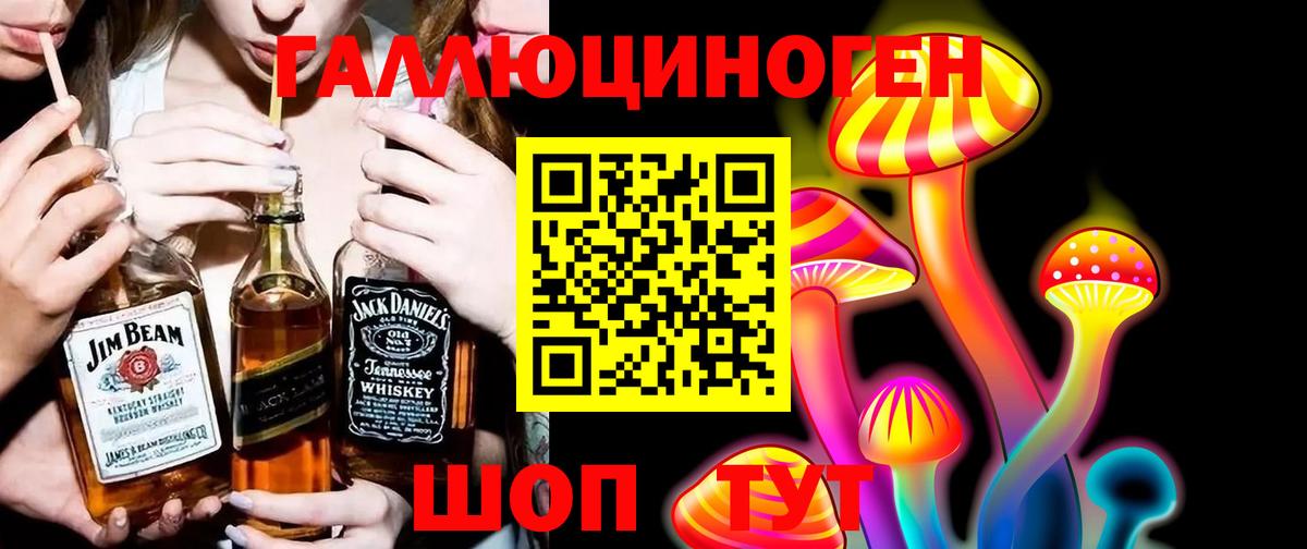Галлюциногенные грибы Psilocybine cubensis Нововоронеж